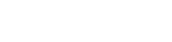 Logo Mediservice Magdeburg